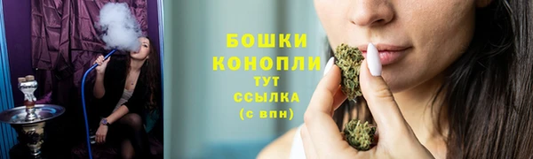 PSILOCYBIN Богородск