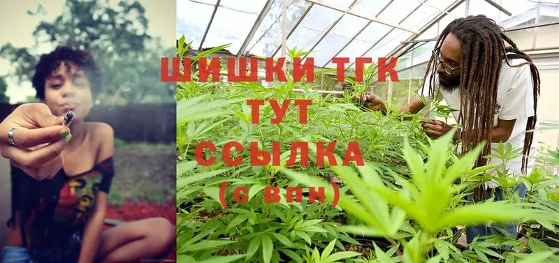 где купить наркоту  Ленск  Бошки марихуана SATIVA & INDICA 